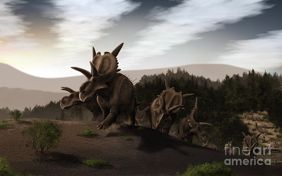 Herd Of Xenoceratops Foremostensis Digital Art