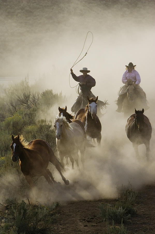 Herding Horses Oregon Photograph by Konrad Wothe