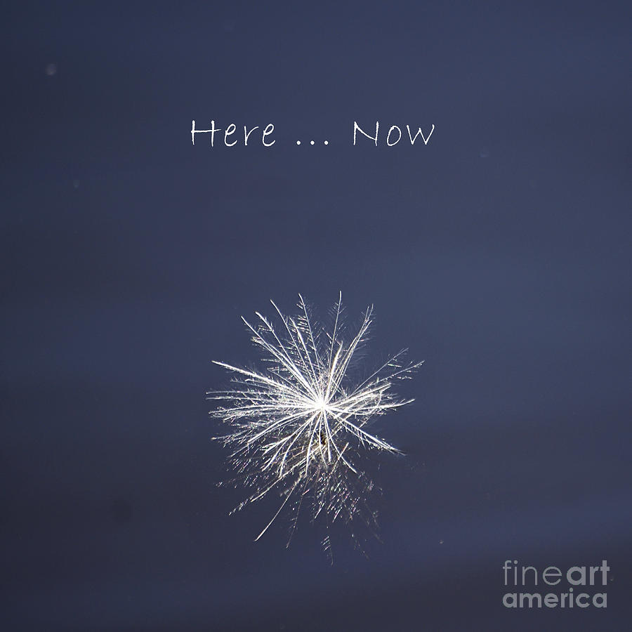 Here ... Now Photograph by Aimelle Ml