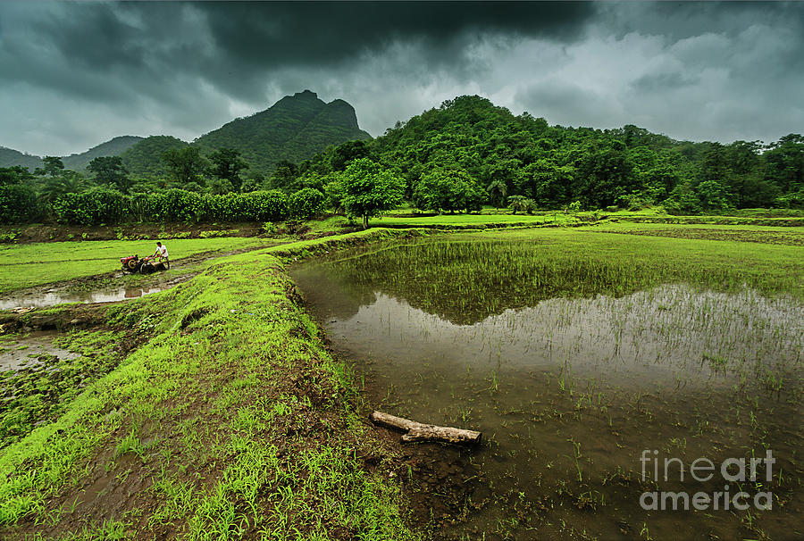 Here Comes The Rain Photograph by © Neha & Chittaranjan Desai