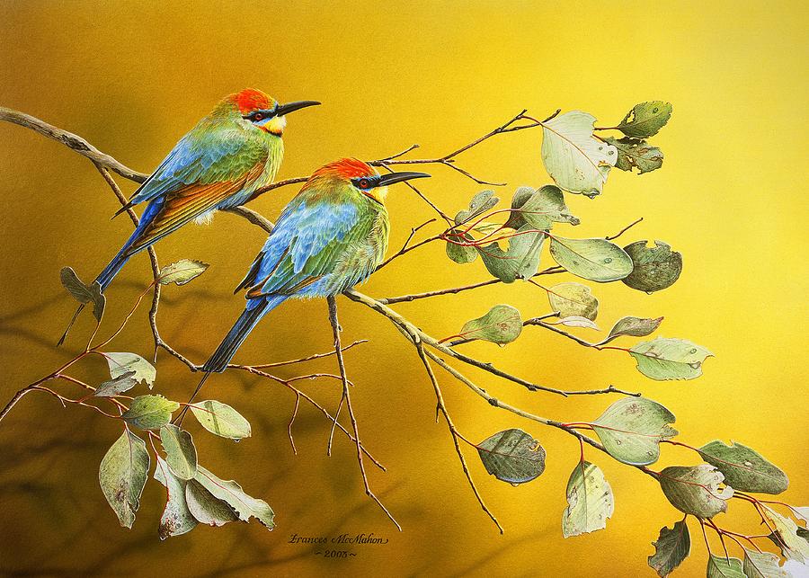 Here Comes The Sun - Rainbow Bee-Eaters by Frances McMahon Here Comes The Sun - Rainbow Bee-Eaters by Frances McMahon