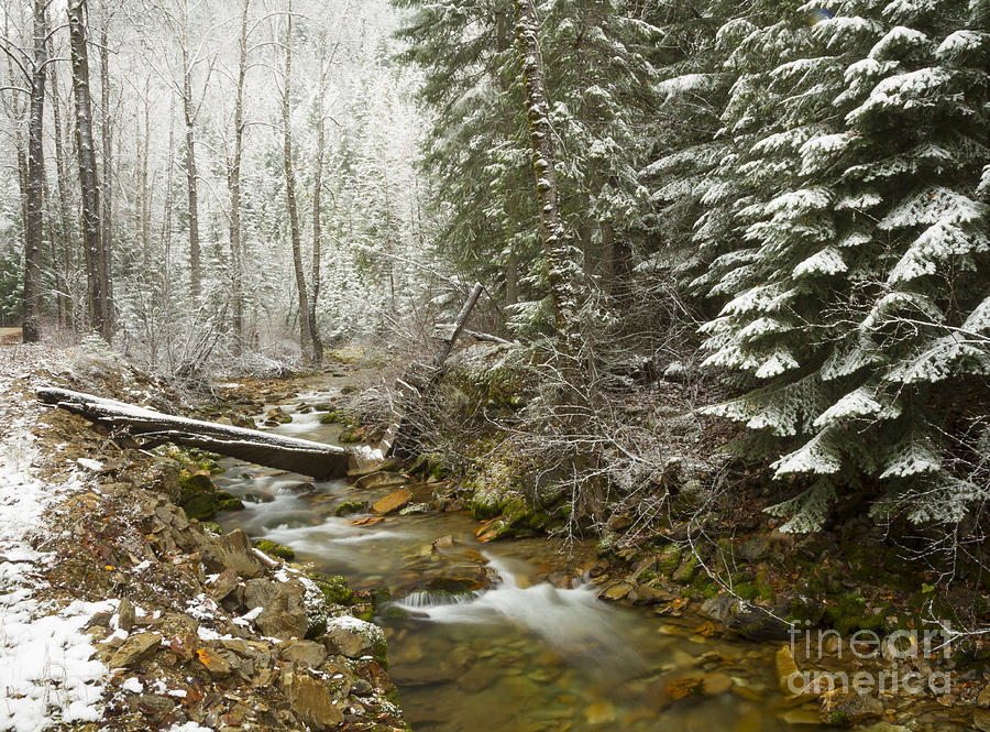 Winter Photograph - Here Comes Winter by Idaho Scenic Images Linda Lantzy