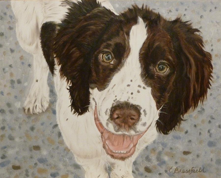 English Springer Painting - Here I am by Cynthia Brassfield