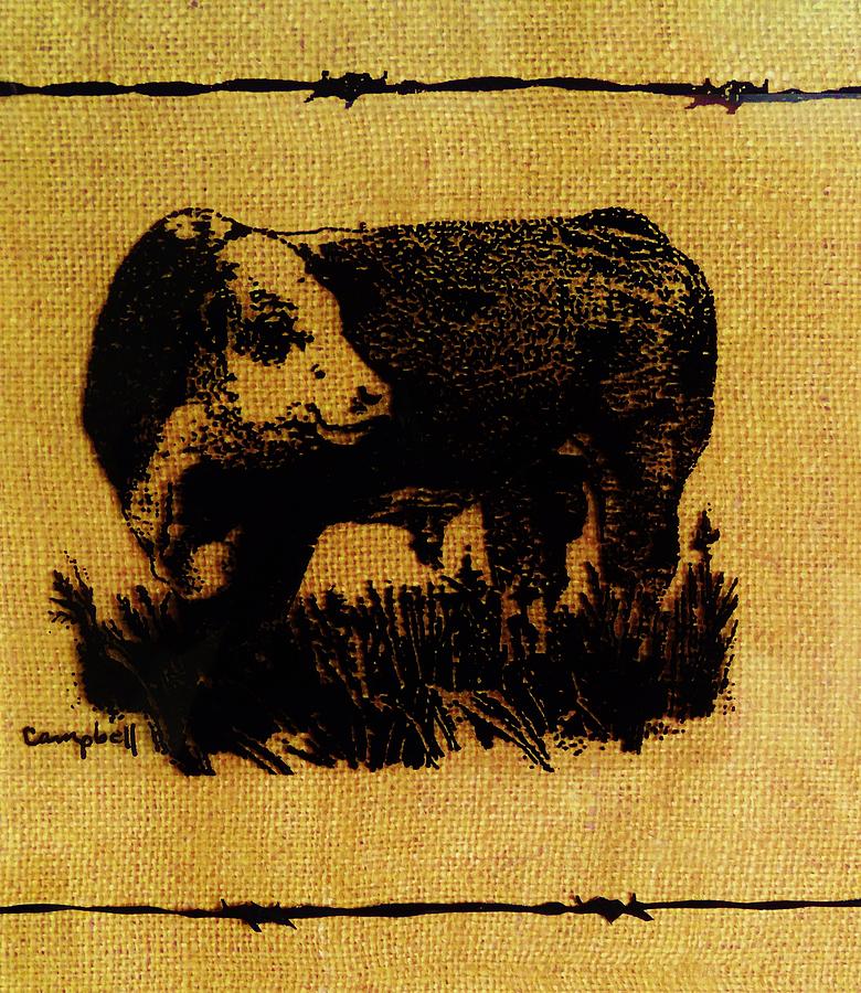 Polled Hereford Bull 12 Drawing by Larry Campbell