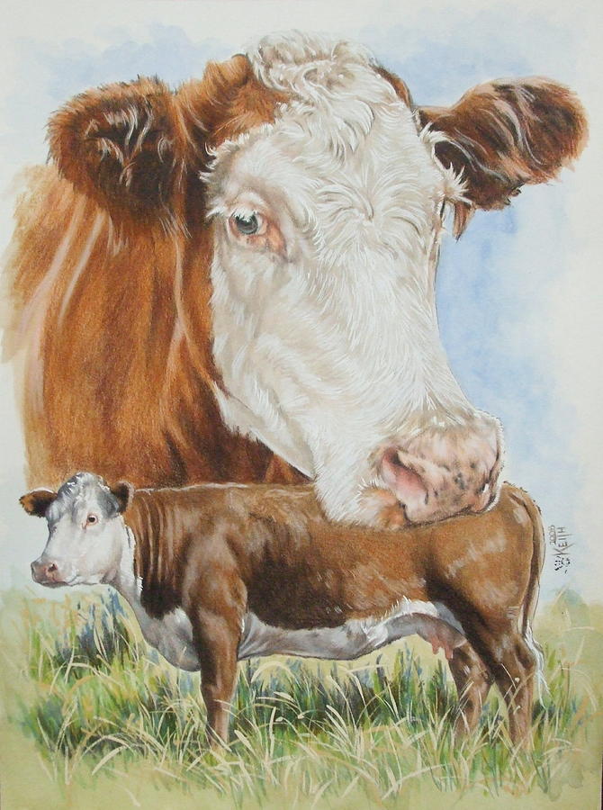 Hereford Cattle Mixed Media by Barbara Keith