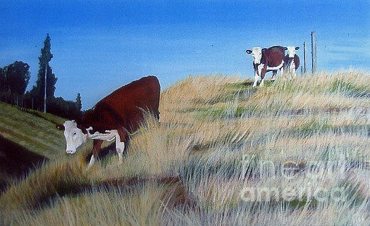 Hereford X On Hill Painting by Martha DArt