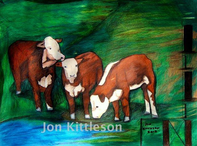 Herefords Drawing by Jon Kittleson