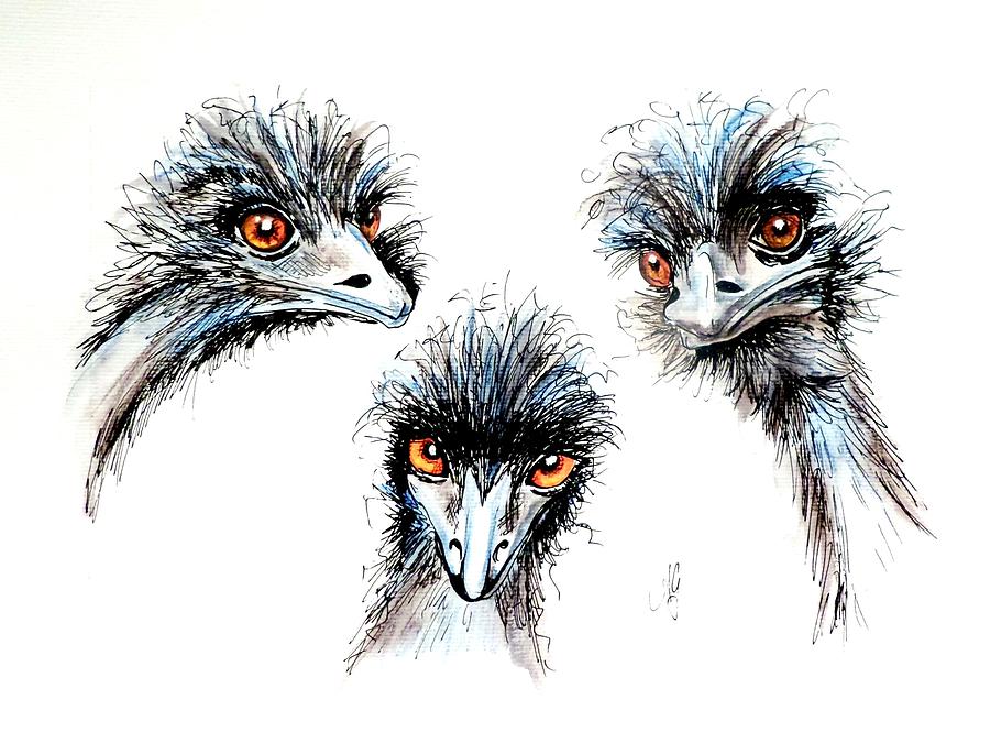 Emu Painting - Heres looking at you kid by Anne Gardner