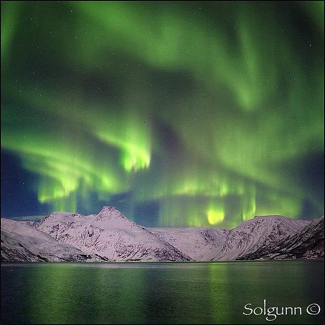 Heres Some More Green Light For You Photograph by Solgunn Hansen