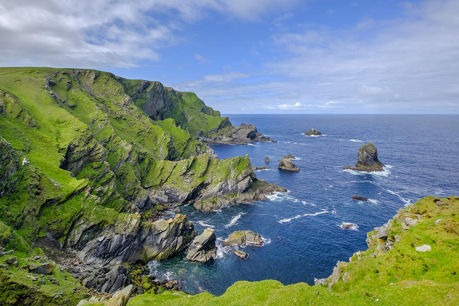 Hermaness National Nature Reserve, a dramatic cliff-top setting and a refuge of thousands of seabirds; it is the Britains most northerly point, located on the island of Unst, Shetland Islands, Scotland. Photograph by Argalis