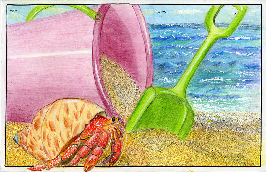 Wildlife Drawing - Hermit Crab - A Day at the Beach by Vaibhavi Patankar by California Coastal Commission