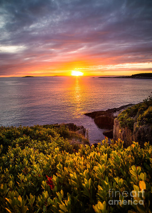 Blueberry Photograph - Hermit Island Sunset by Benjamin Williamson