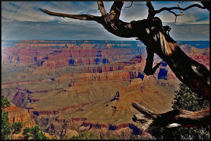 Grand Canyon National Park Photograph - Hermits Rest Grand Canyon by Matthew Heller