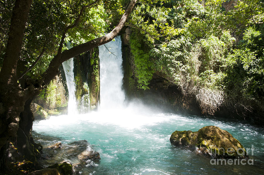 Hermon Stream Nature reserve-Banias Photograph by Amos Gal