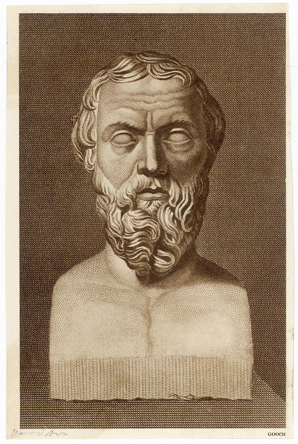 Herodotus Histories Historian History, history, monochrome, human, head png  | PNGWing