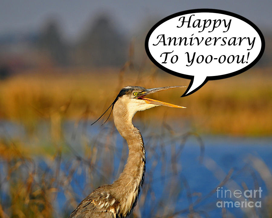 Heron Photograph - Heron Anniversary Card by Al Powell Photography USA
