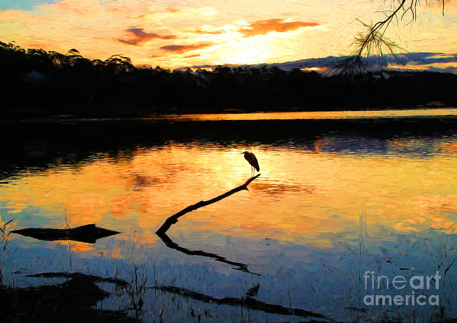 Heron at sunset Photograph by Sheila Smart Fine Art Photography