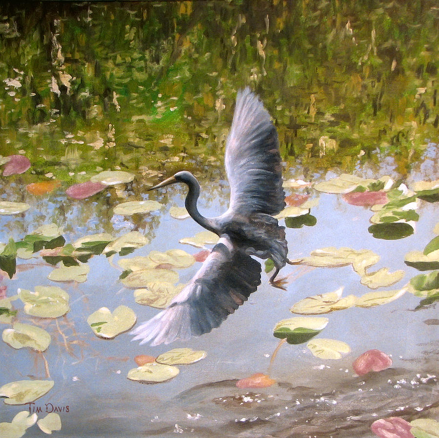 Heron Painting - Heron in Flight by Tim Davis