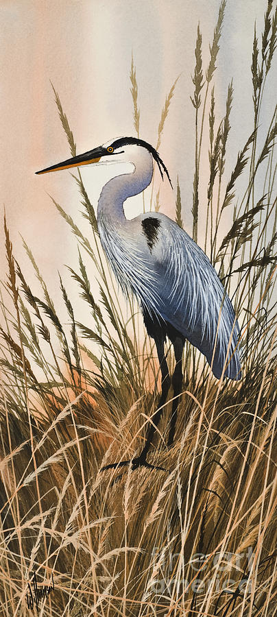 Heron in Tall Grass Painting by James Williamson