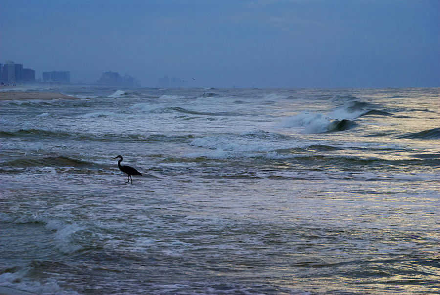 Heron in the Surf Digital Art by Michael Thomas