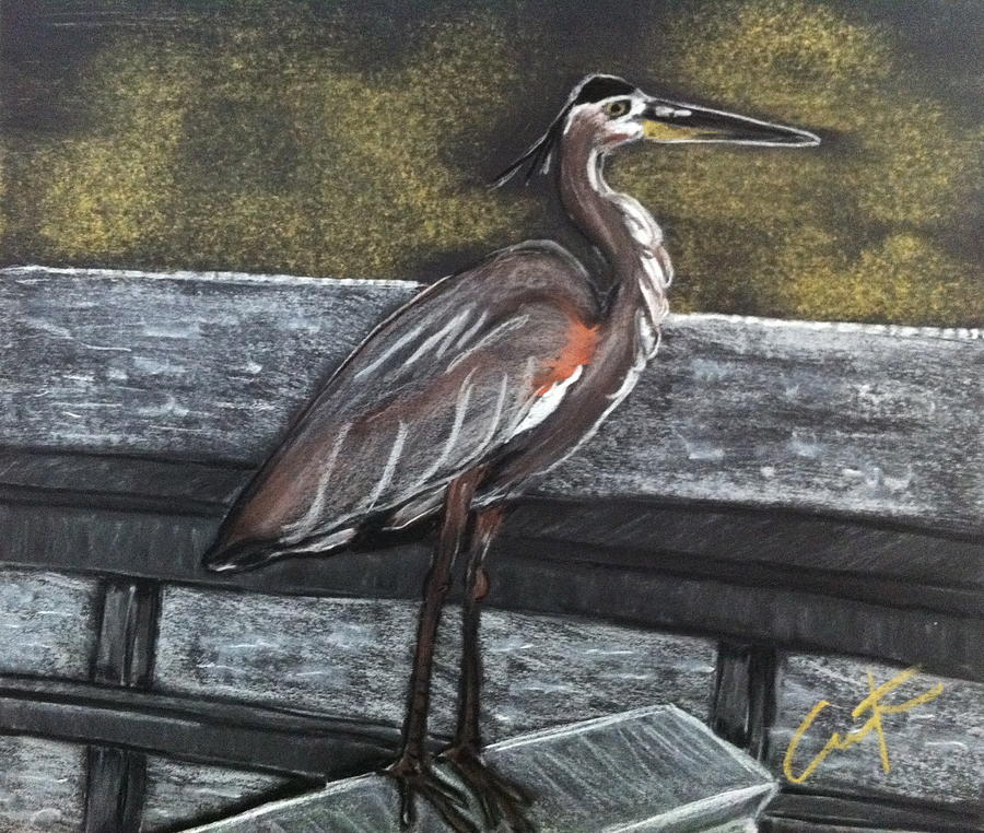 Heron Drawing - Heron on Hunting Island Fishing Dock by Cristel Mol-Dellepoort
