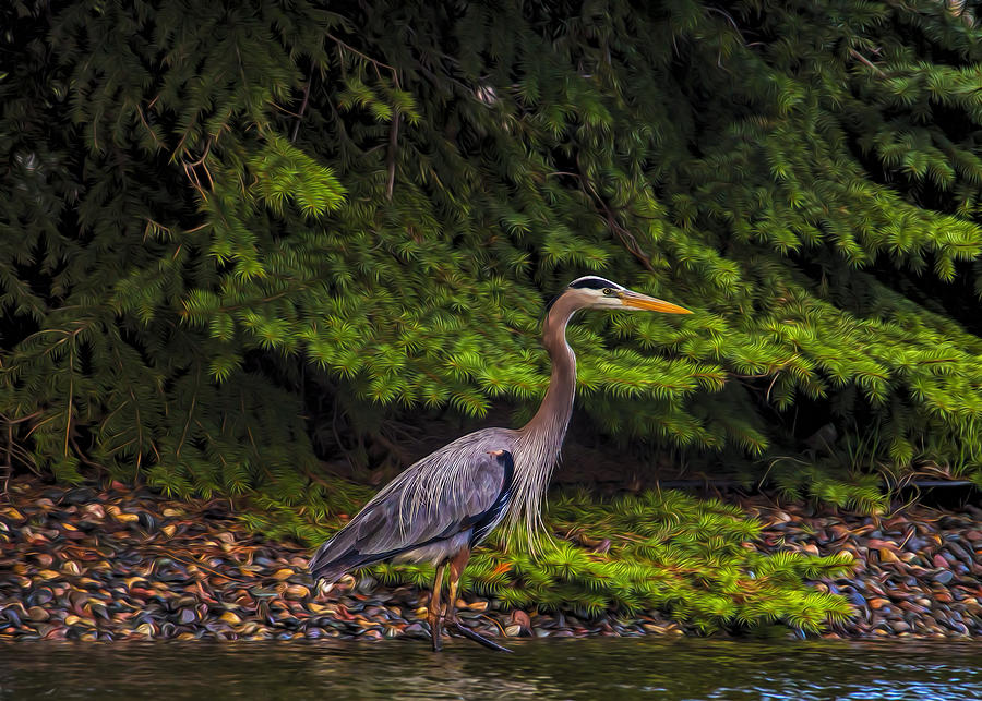 Heron on Pine Green Photograph by Bill and Linda Tiepelman