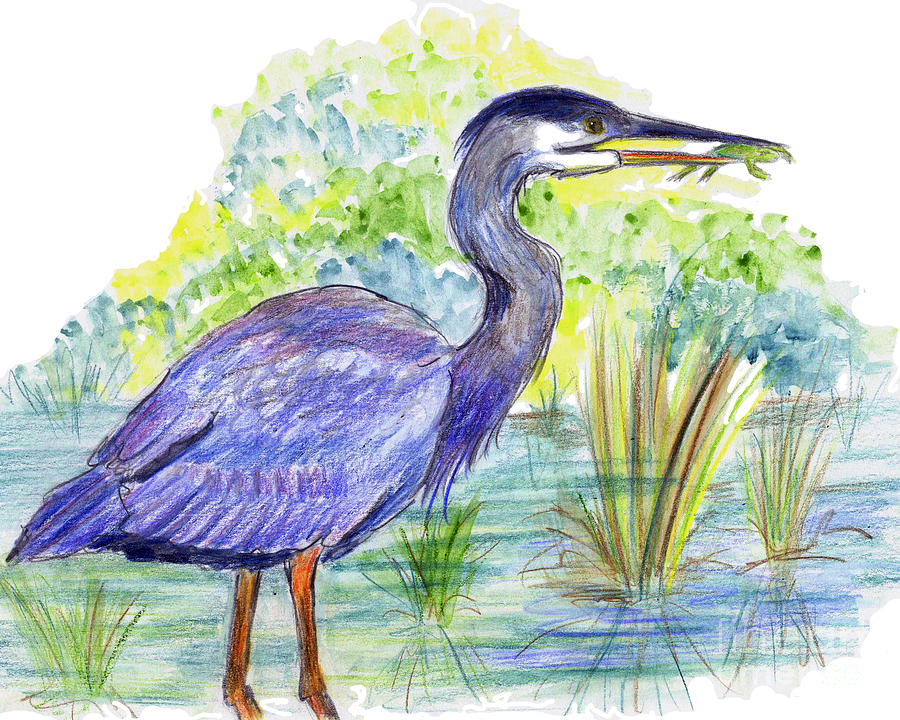 Heron with Frog Painting by Ellen Miffitt
