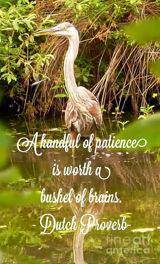 Heron With Quote Photograph  Photograph by Susan Garren