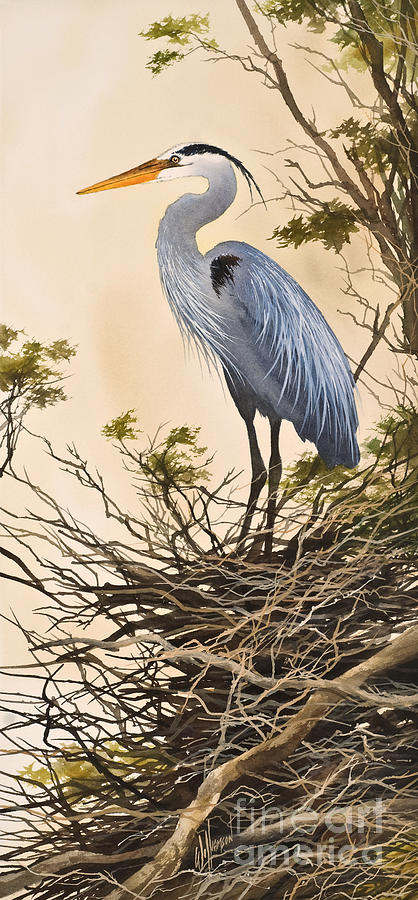 Herons Secluded Home Painting by James Williamson