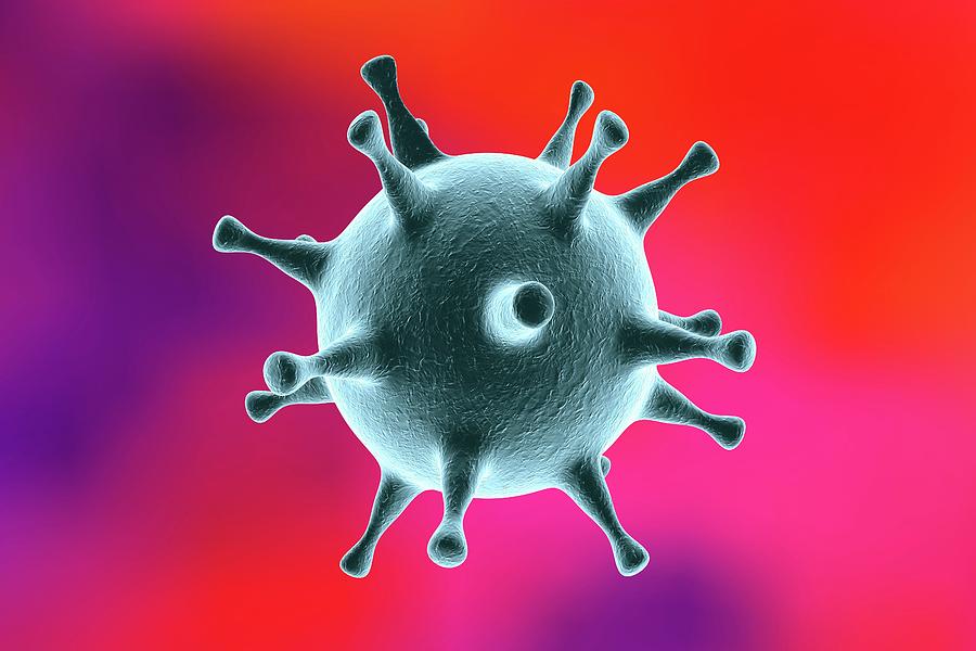 Biology Photograph - Herpes Simplex Virus by Kateryna Kon