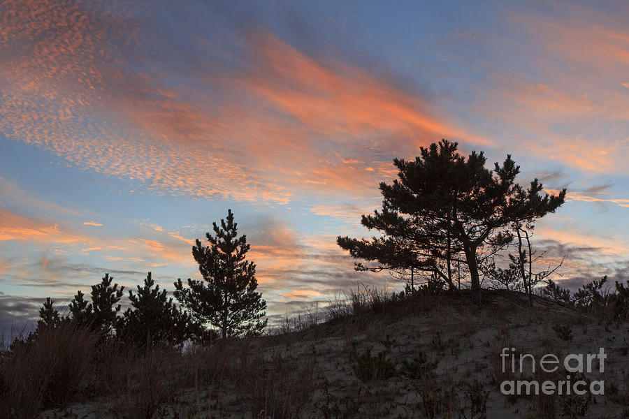 Sunset Photograph - Herring Point Sunset by Robert Pilkington