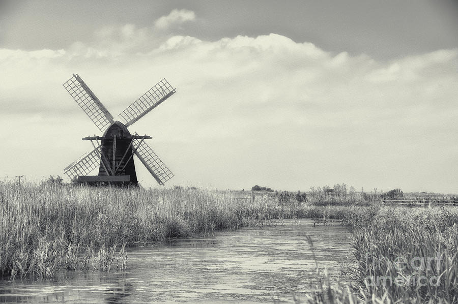 Herringfleet IV Photograph by Jack Torcello