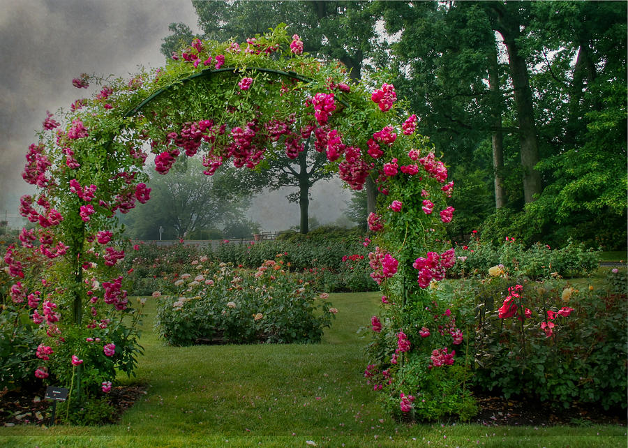 Hershey Gardens Photograph by Lori Deiter