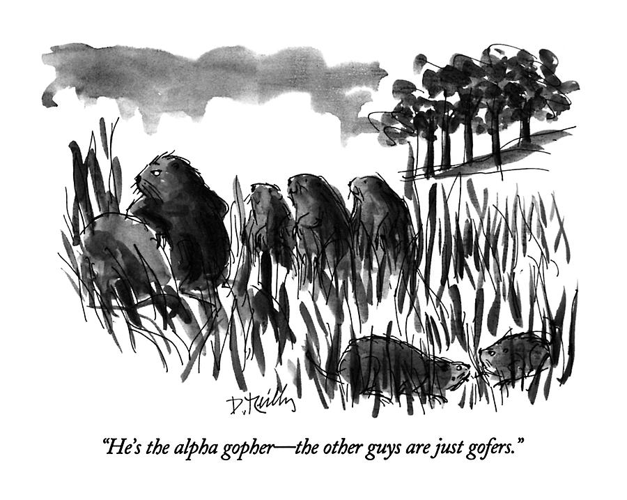 Hes The Alpha Gopher - The Other Guys Drawing by Donald Reilly