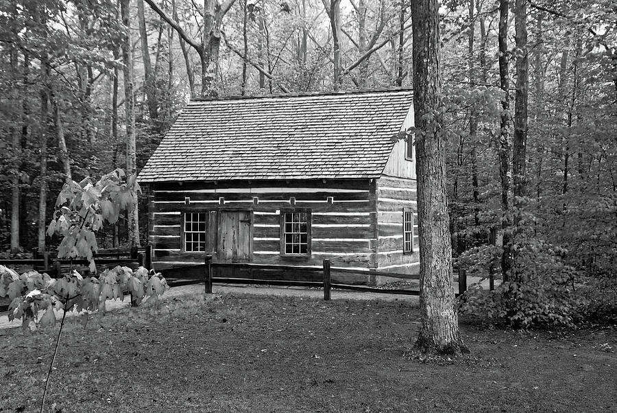 Hesler Log Home 10234b Photograph by Guy Whiteley