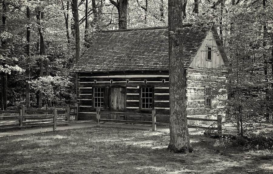 Hessler Log Cabin  mono Photograph by Rachel Cohen