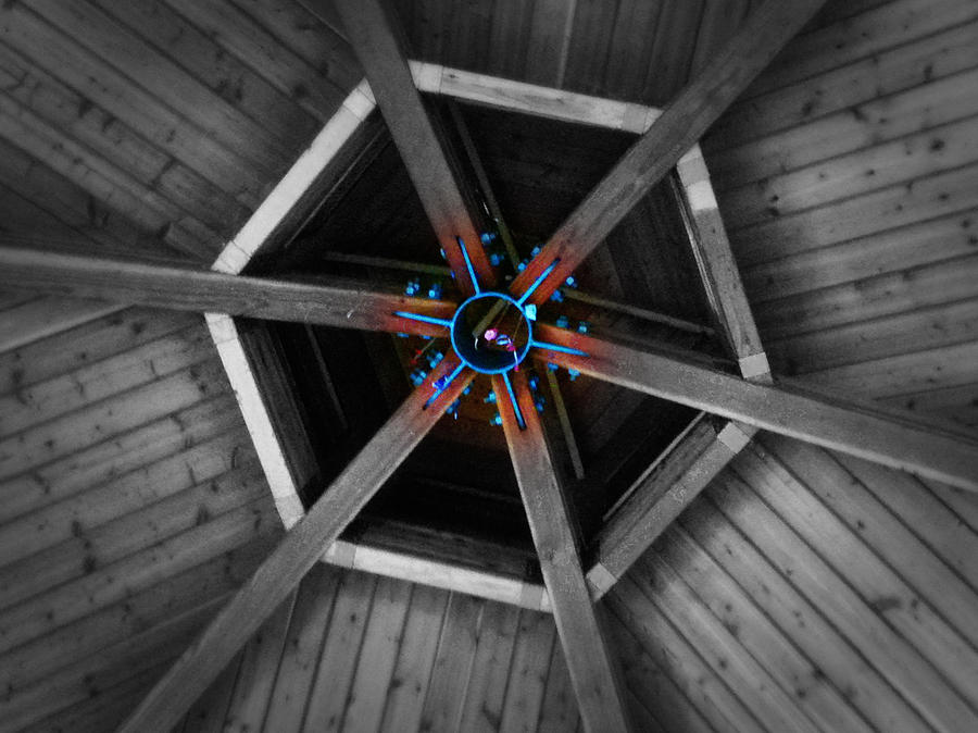 Hexagon In Cedar Photograph