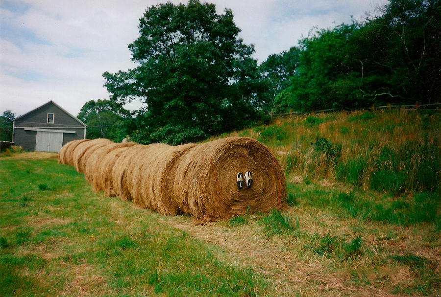 Hey- Hay Roll Photograph by Jeffrey Canha