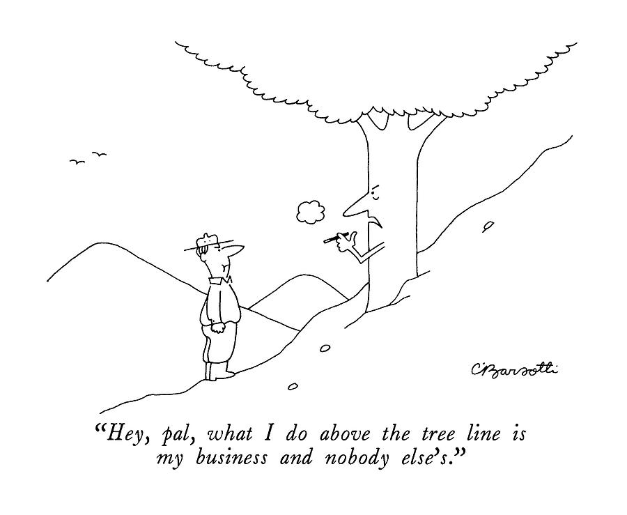 Hey Pal, What I Do Above The Tree Line Drawing by Charles Barsotti