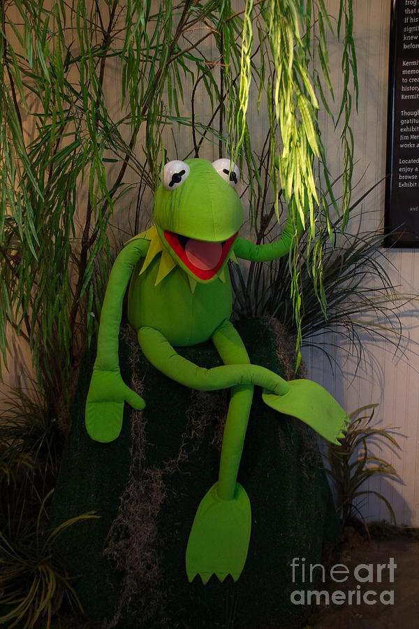 Hi Ho  Kermit the Frog Here  Photograph by Jim McCain