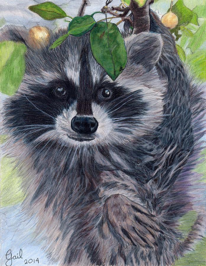 Raccoon Painting - Hi There by Gail Seufferlein