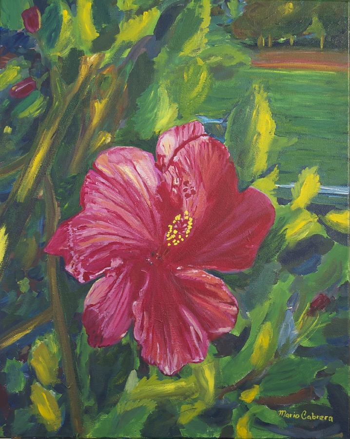 Hibiscus at Sunset Painting by Mario Cabrera