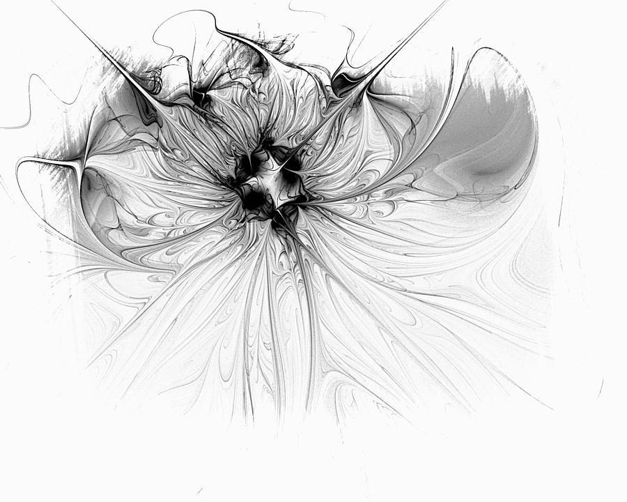Hibiscus Bloom Digital Art by Amanda Moore