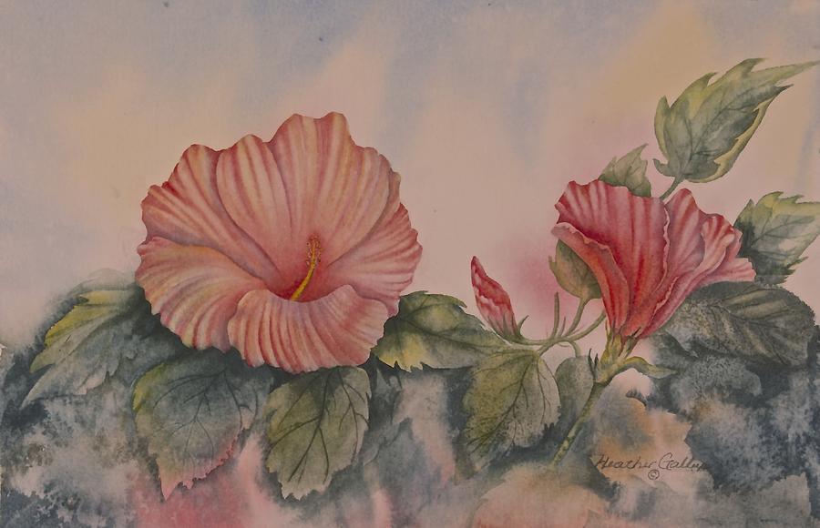 Hibiscus Painting - Hibiscus by Heather Gallup Hibiscus Painting - Hibiscus by Heather Gallup