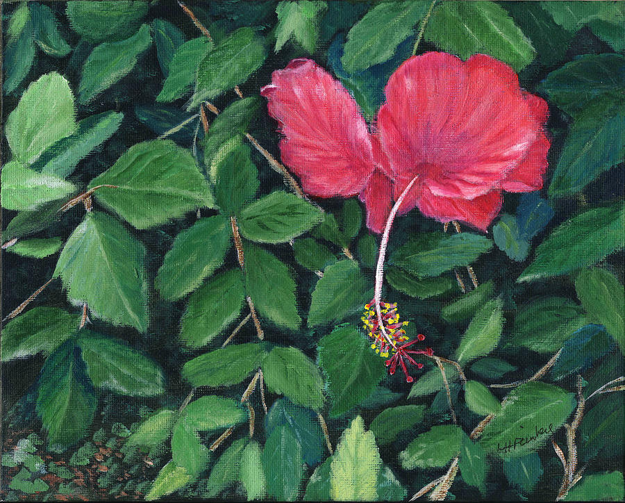Hibiscus in Costa Rica Painting by Linda Feinberg