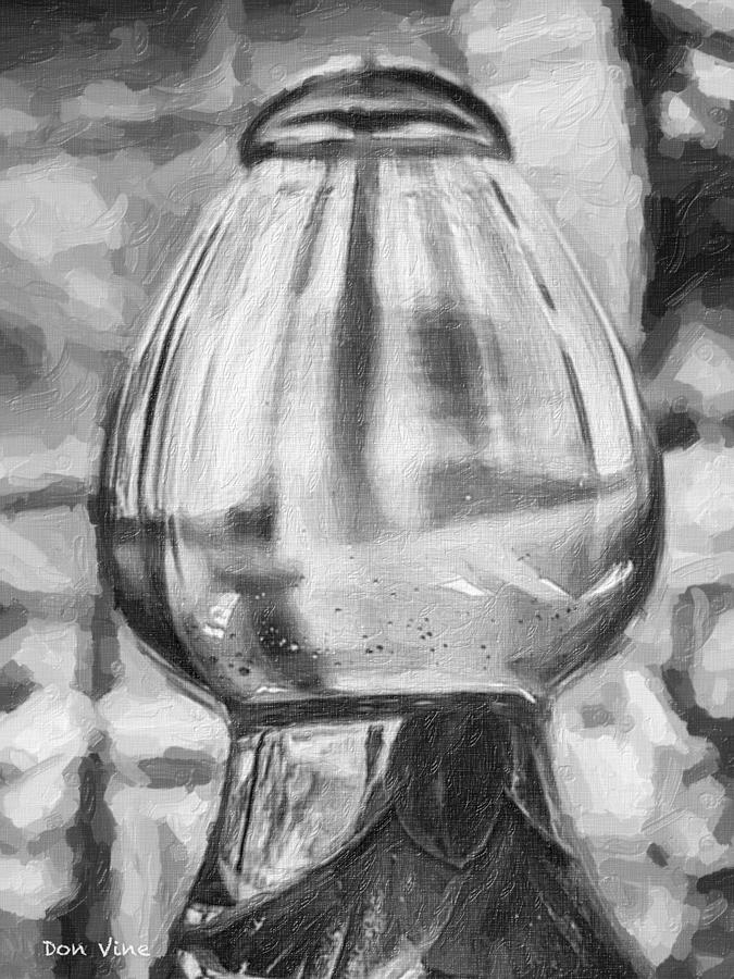 Hibiscus in Glass  bw Photograph by Don Vine