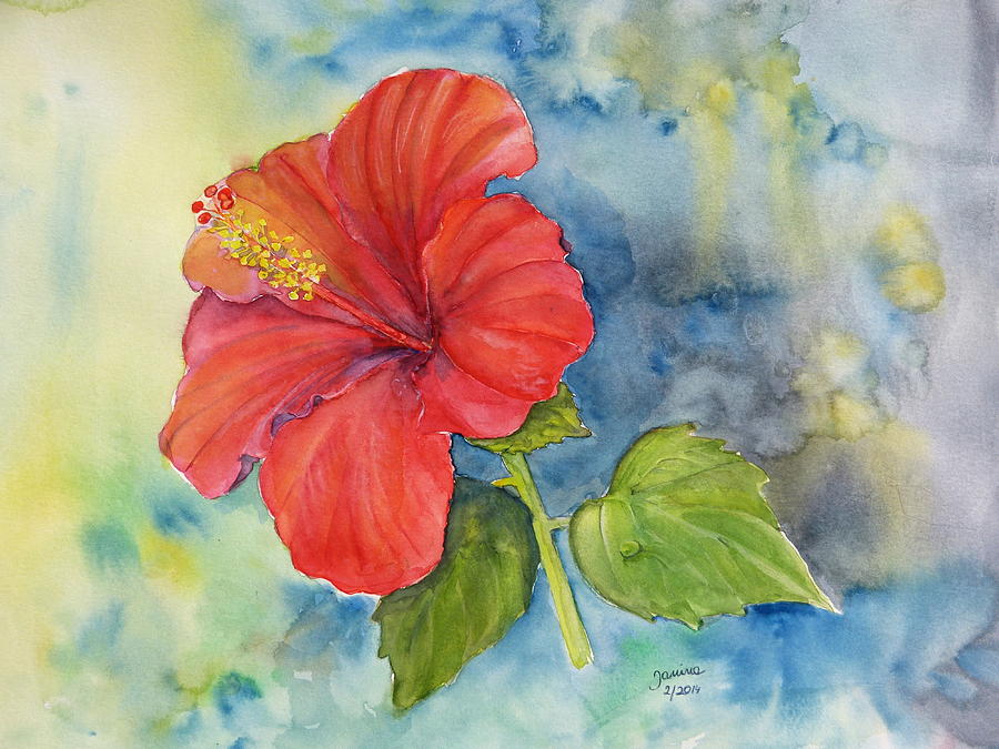 Hibiscus  Painting by Janina  Suuronen