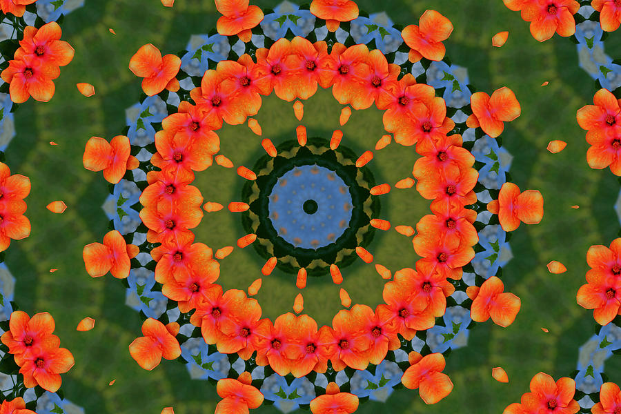 Hibiscus Kaleidoscope Photograph by Bill Barber