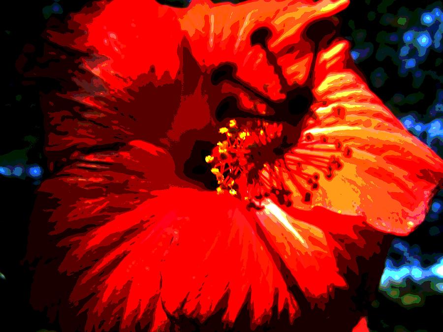 Hibiscus Photograph by Mark Malitz - Fine Art America