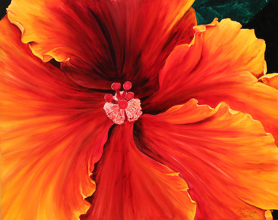 Hibiscus by Melinda Cummings Hibiscus by Melinda Cummings